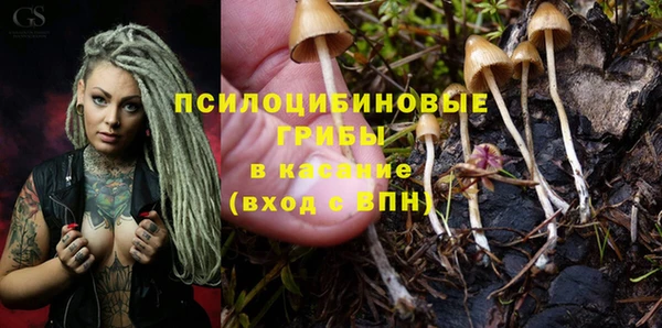прущая мука Струнино