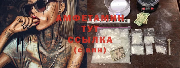 прущие грибы Сосновка
