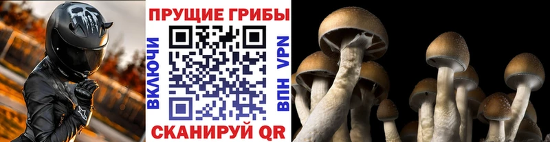 Псилоцибиновые грибы ЛСД  Юрга 
