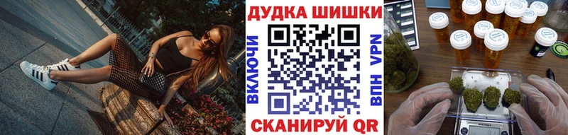 где найти   Юрга  Марихуана индика 